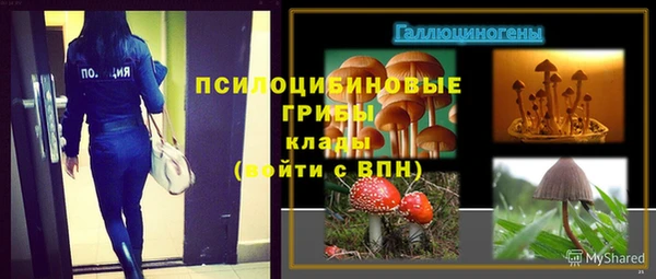 каннабис Баксан