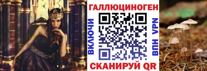 Галлюциногенные грибы мицелий как найти закладки Закаменск